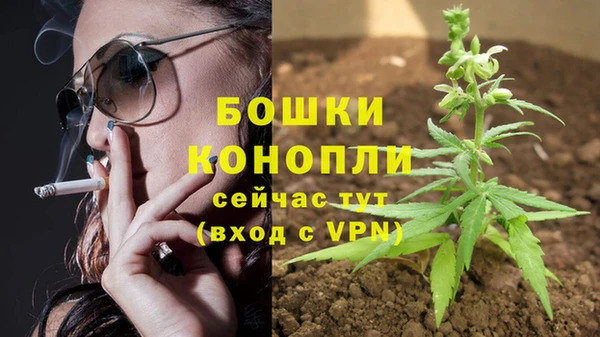 ALPHA PVP Каменка