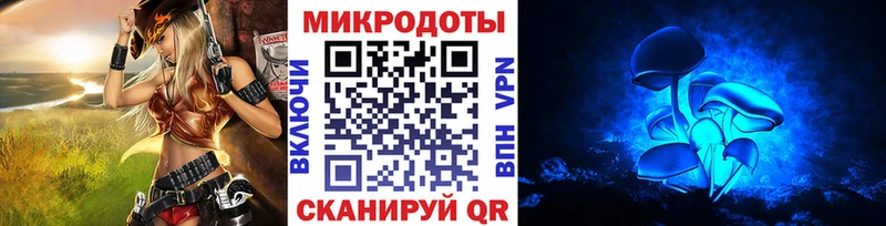 Галлюциногенные грибы Psilocybine cubensis  Купить где  Козьмодемьянск 